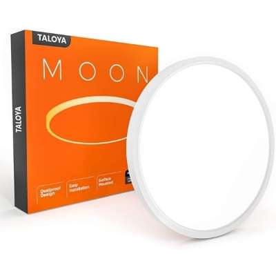 Flush Mount 12 Inch Ceiling Light
