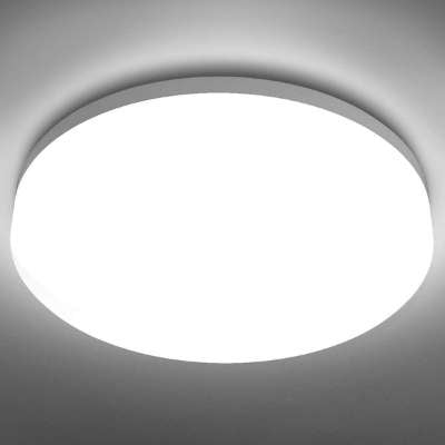 LE Flush Mount Ceiling Light