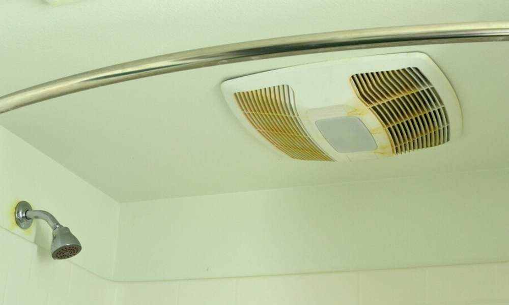 https://www.shutterstock.com/image-photo/mold-grime-form-on-shower-exhaust-1014617098