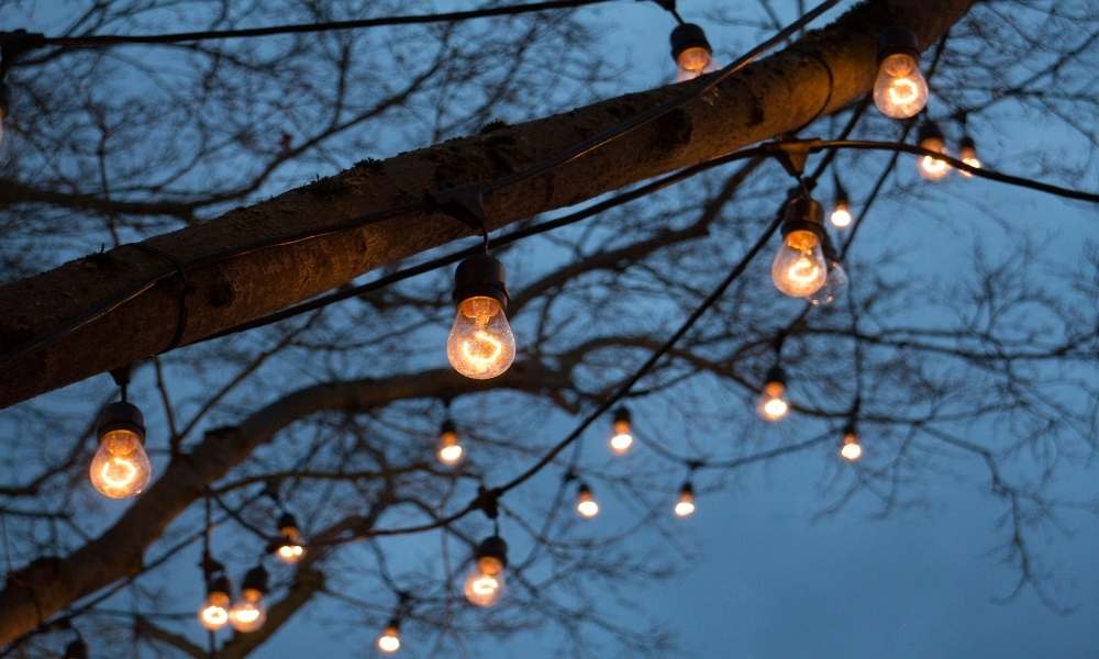 Trees Light