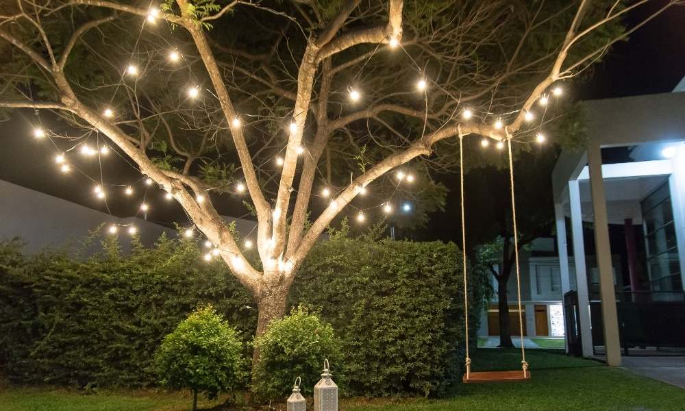 Use lights depending on the size of the plant