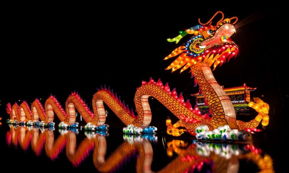 What Does A Dragon Look Like?