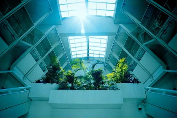 Skylights Vaulted Ceilings in Vaulted Ceiling Lighting Ideas