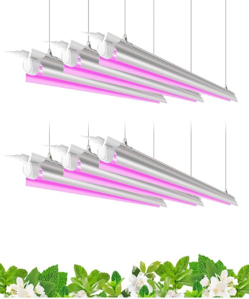 Barrina 4ft LED grow light 6 pack full spectrum setup for large indoor citrus garden
