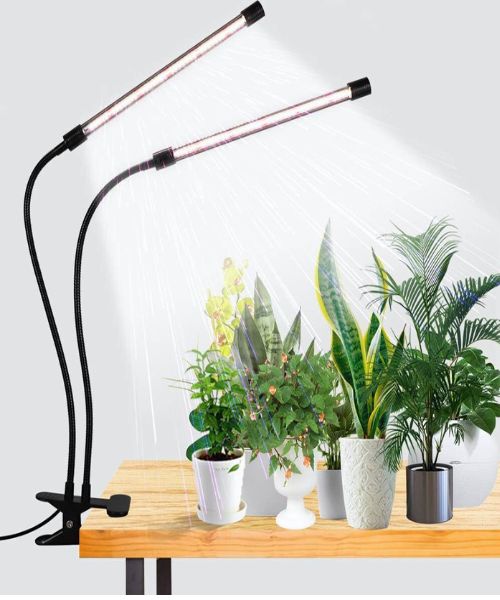 Best Grow Light for Meyer Lemon Tree for GooingTop LED Grow Light