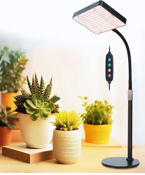 FECiDA full spectrum desk grow light with UV and IR for indoor Meyer lemon trees