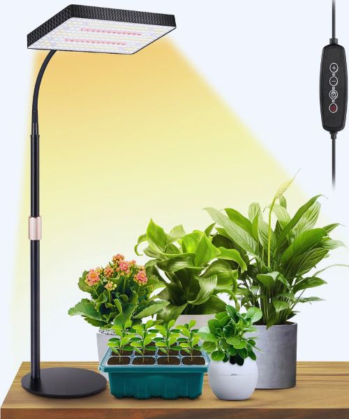LBW full spectrum desk grow light for Meyer lemon tree and indoor plants