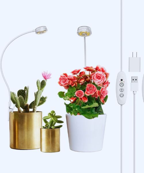 SANSI LED Grow Light 4000K full spectrum lamp for small indoor citrus plants