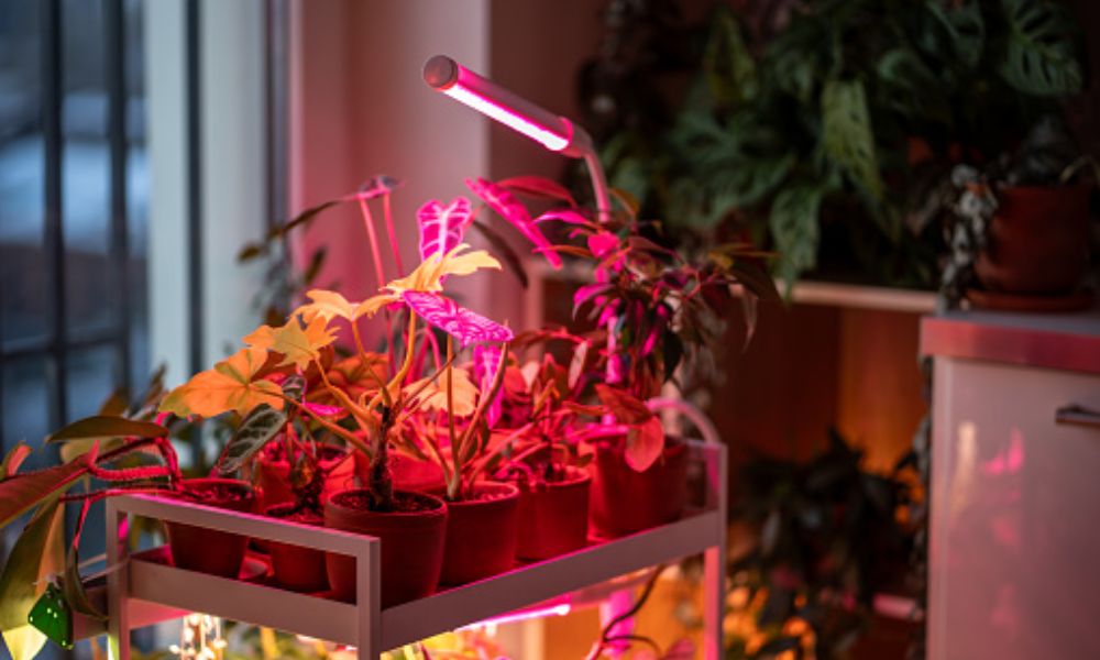 how many lumens should a grow light be