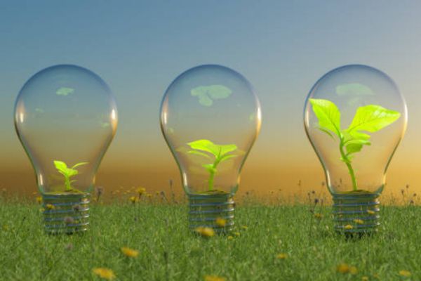 Common Mistakes When Growing Plants Under Regular Lights