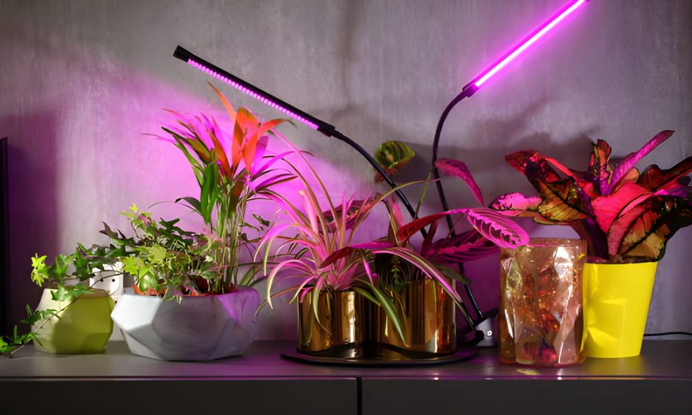 How Long To Keep Grow Lights On Indoor Plants