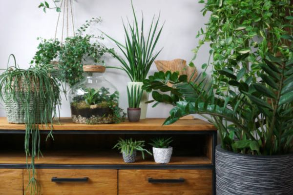 Practical Tips for Managing Grow Light Schedules