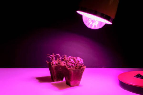 Tips for Using Artificial Light Effectively