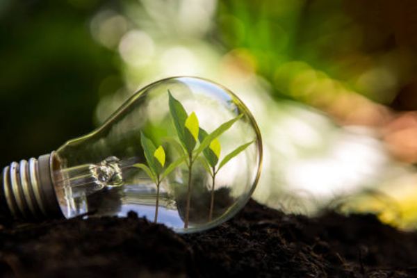 Will Regular LED Lights Grow Plants?