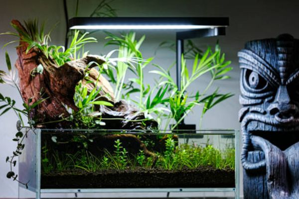 DIY Ways to Hang Fluval Aquarium Light Without Kit