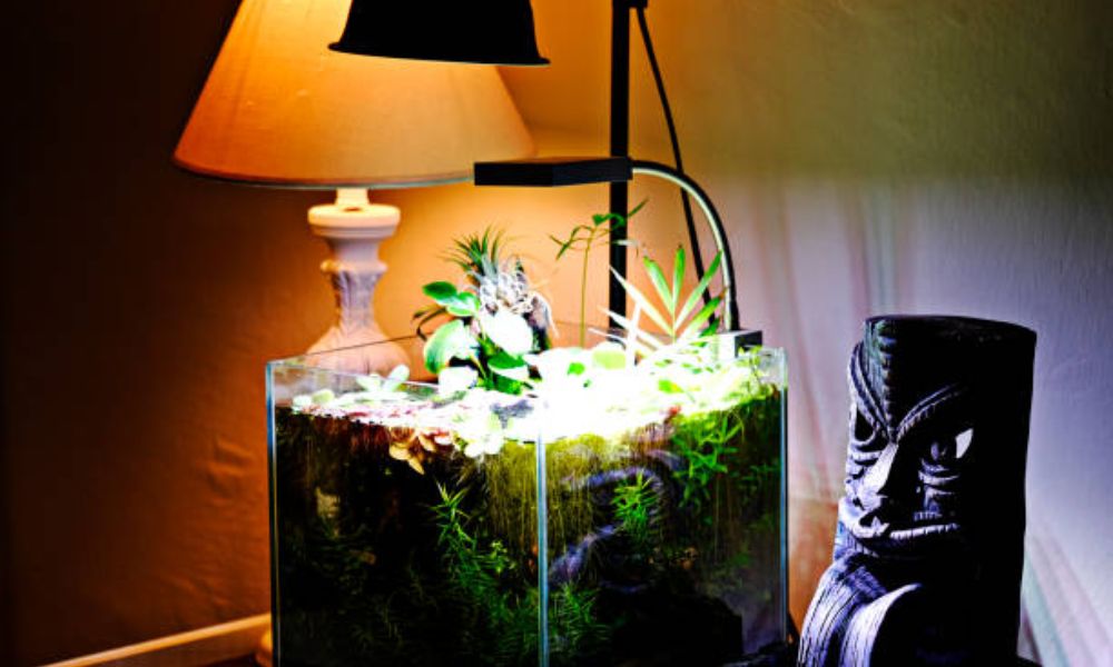 How To Hang Fluval Planted Light