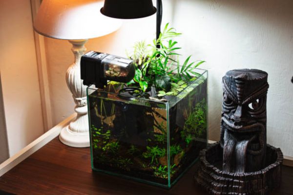 How to Hang Fluval Planted Light Step-by-Step