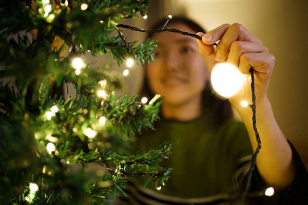 Creative Outdoor Tree Lighting Ideas