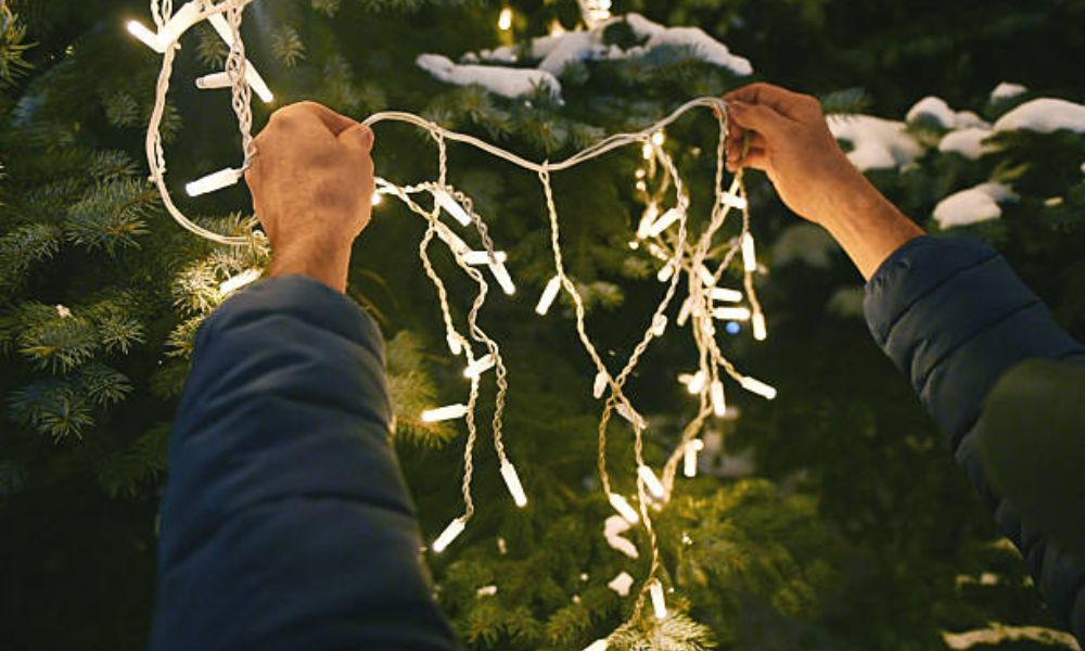How To Hang Lights On Outdoor Trees
