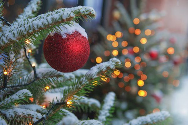 How To Put Christmas Lights On A Tree Outside