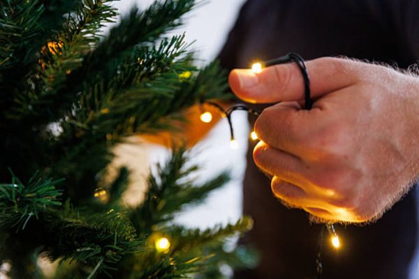 How To Wrap Lights On A Tree The Right Way
