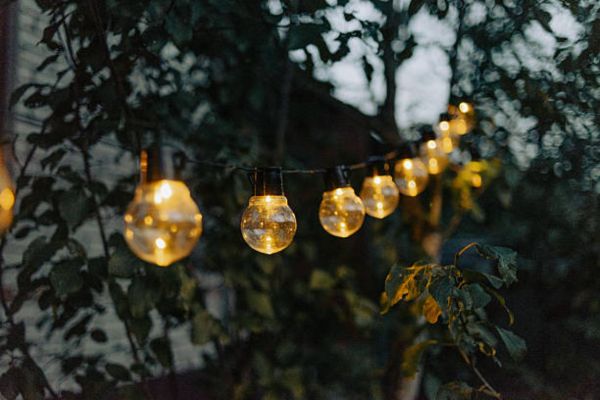 Safety Tips When Hanging Lights On Outdoor Trees