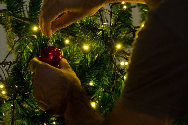 Step-By-Step Guide On How To Hang Lights On Outdoor Trees