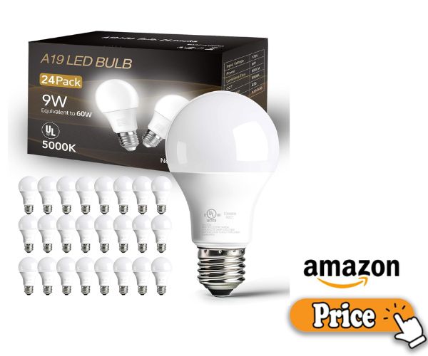 Cool Light Review