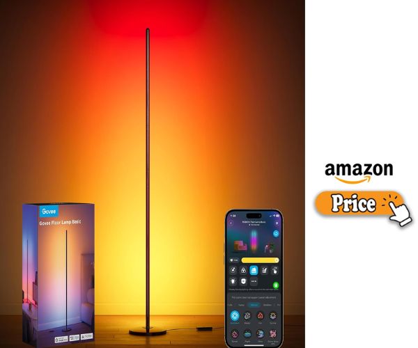 Govee Floor Lamp Review