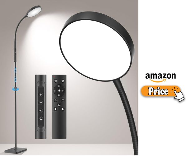 PACOVY Floor Lamp Review
