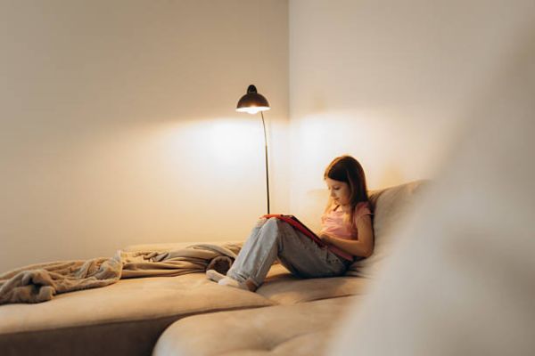 LED Floor Lamps Are The Best Choice